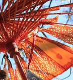 Amicale 50+ Vancouver