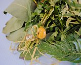 L'Association francophone de Nanaimo