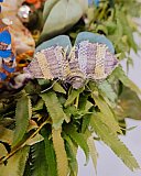 L'Association francophone de Nanaimo