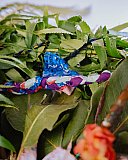 L'Association francophone de Nanaimo