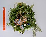 L'Association francophone de Nanaimo