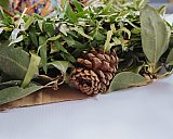 L'Association francophone de Nanaimo