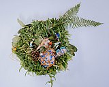 L'Association francophone de Nanaimo