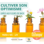 Cultiver son optimisme grâce aux Fleurs de Bach